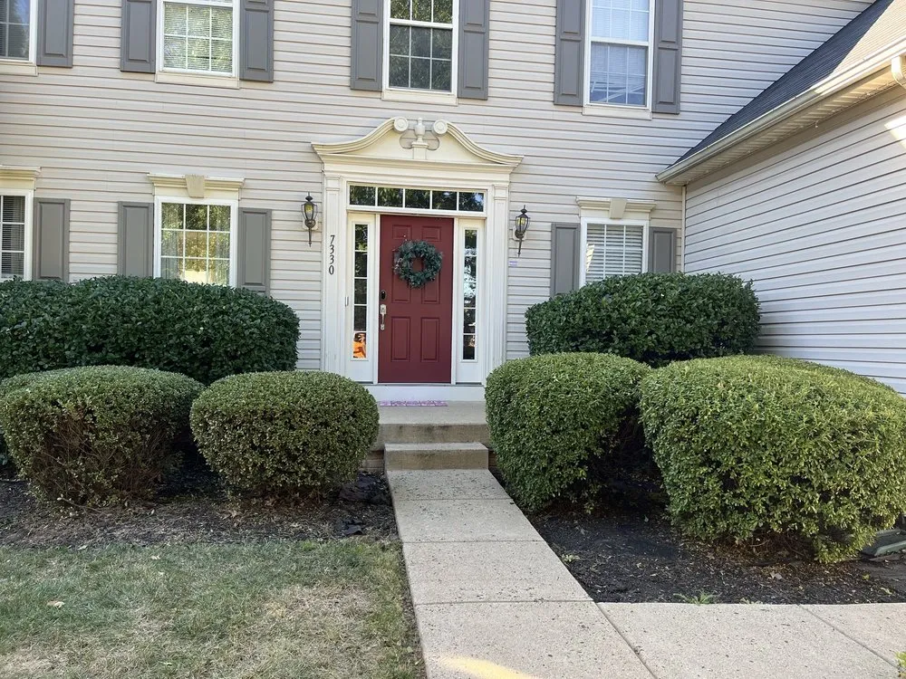 Local yard cleanup service for year-round maintenance across Bealeton, VA - Tee It Up Services