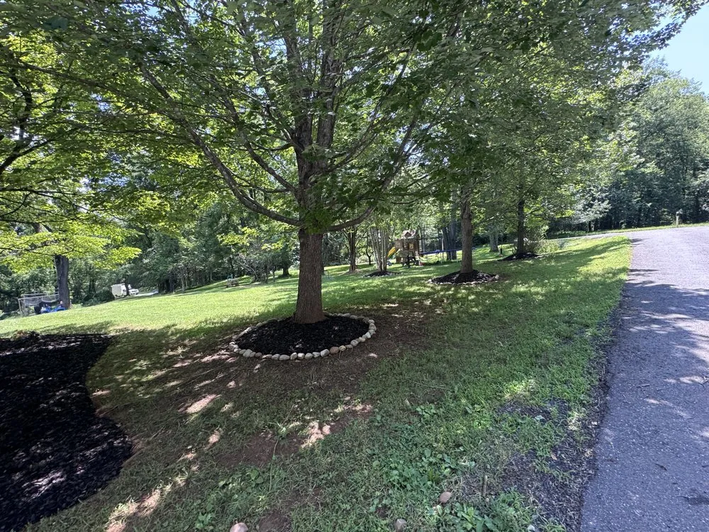 Affordable outdoor landscaping in Bealeton, VA - Tee It Up Services