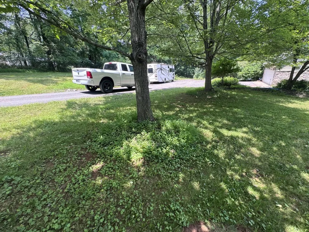 Professional landscape design in Bealeton, VA - Tee It Up Services