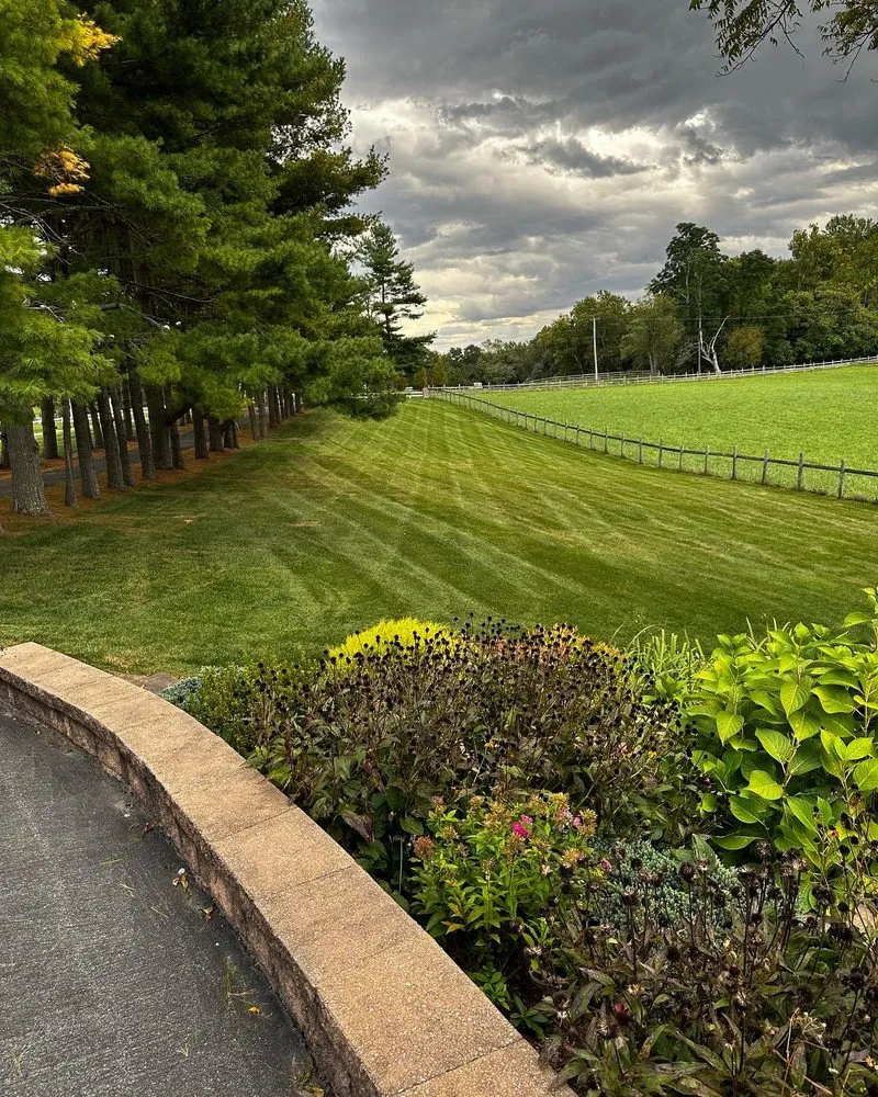 Affordable lawn care service in Marriotsville, MD - Tee Time Landscape & Lawn Care