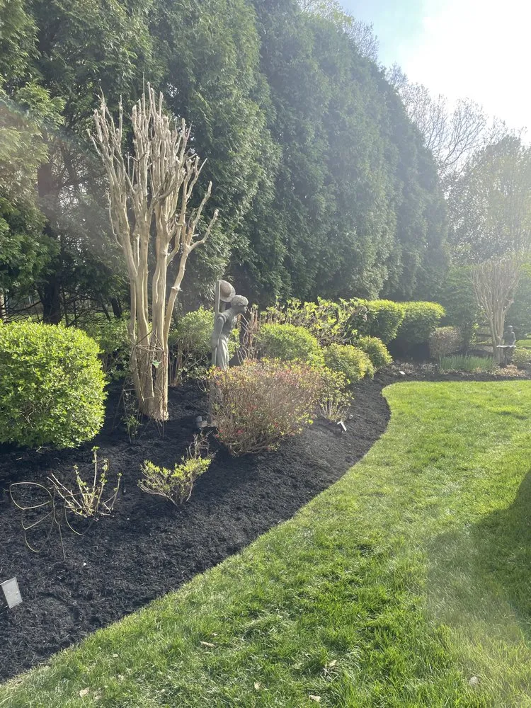 Professional yard maintenance for beautiful yards in Marriotsville, MD by Tee Time Landscape & Lawn Care
