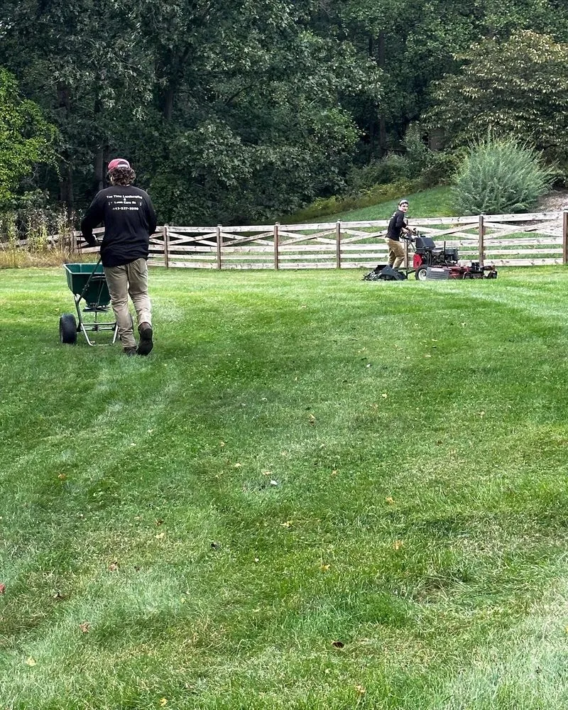Affordable yard cleanup service in Marriotsville, MD by Tee Time Landscape & Lawn Care