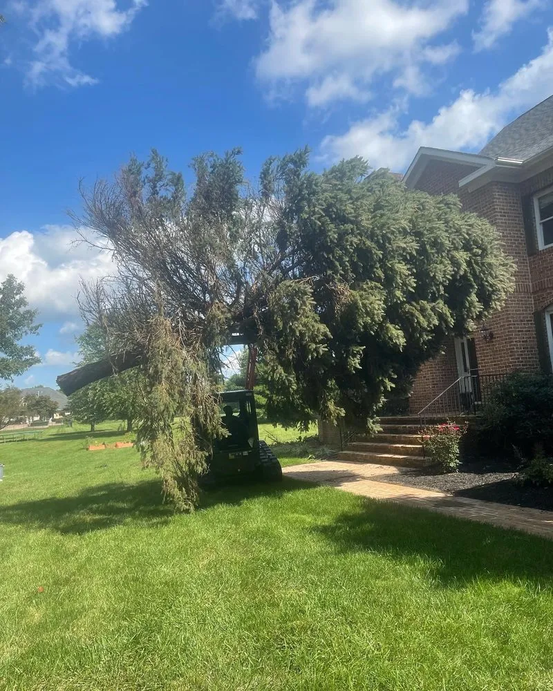 Professional lawn mowing service in Marriotsville, MD by Tee Time Landscape & Lawn Care