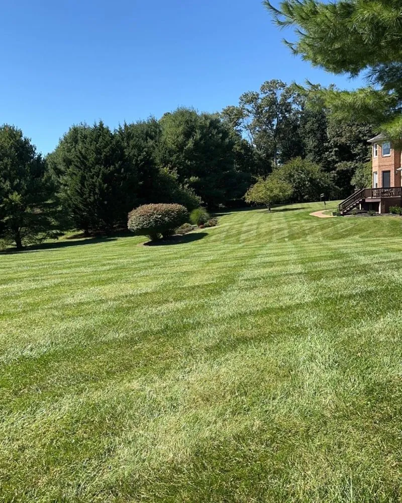 Custom yard cleanup service in Marriotsville, MD by Tee Time Landscape & Lawn Care