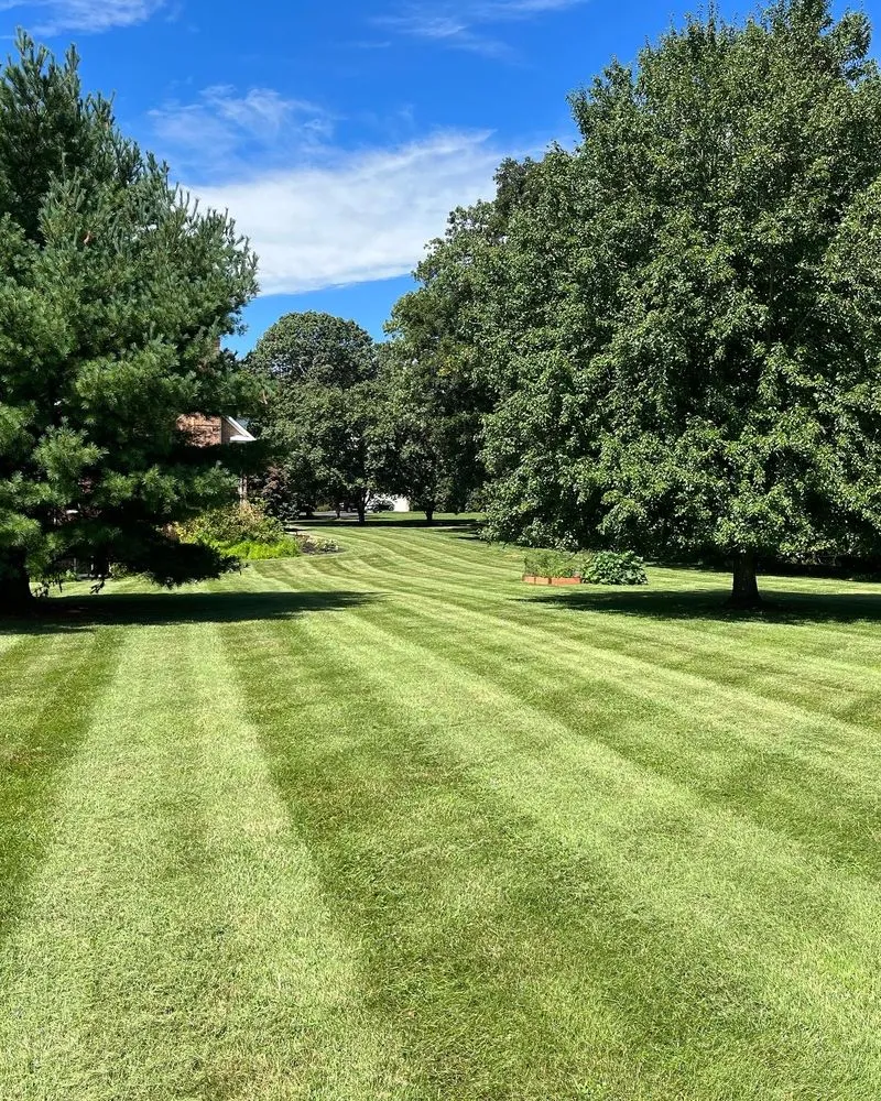 Top-rated lawn care service for residential properties in Marriotsville, MD by Tee Time Landscape & Lawn Care