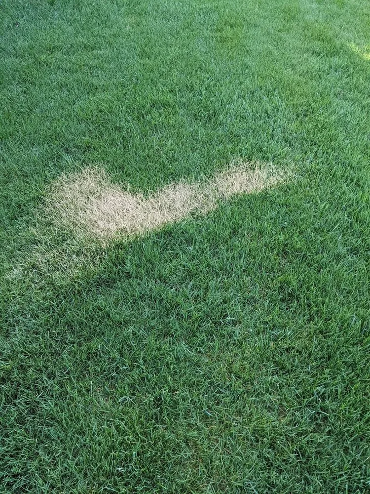 Top-rated landscape installation in Davenport, IA - Tee Time Lawn Care