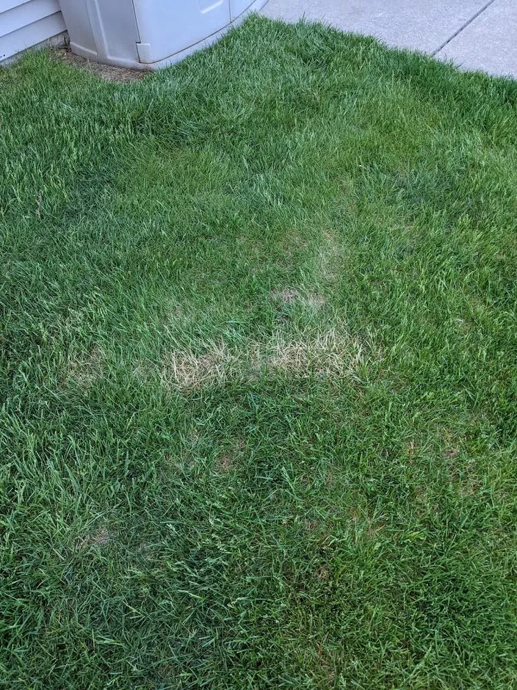 Professional lawn care service with custom design across Davenport, IA - Tee Time Lawn Care