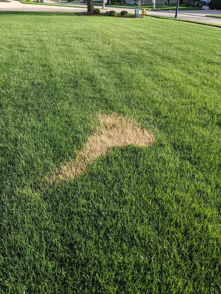 Local landscaping services for year-round maintenance across Davenport, IA - Tee Time Lawn Care