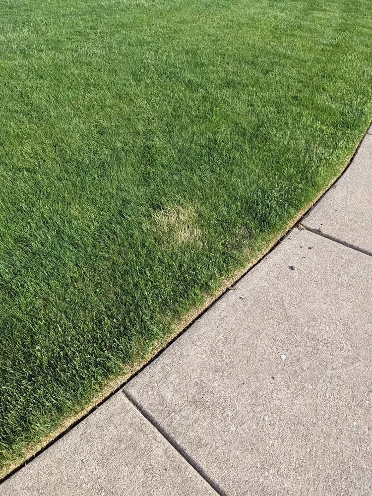 Professional outdoor landscaping experts serving Davenport, IA - Tee Time Lawn Care