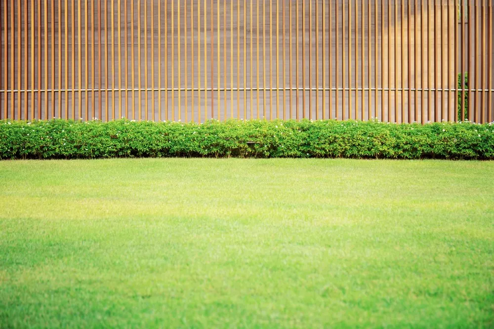 Local yard cleanup service near you in Davenport, IA by Tee Time Lawn Care