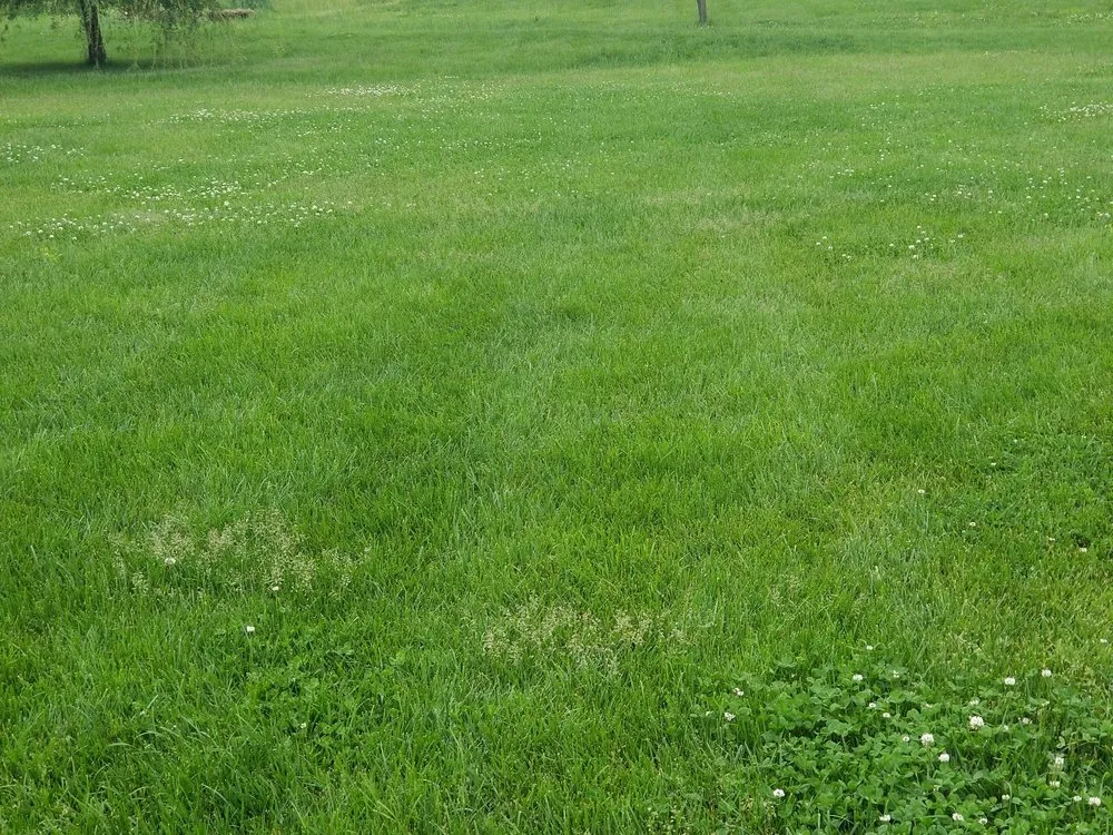 Reliable garden landscaping for residential properties in Ofallon, IL by Tee Time Lawn Care