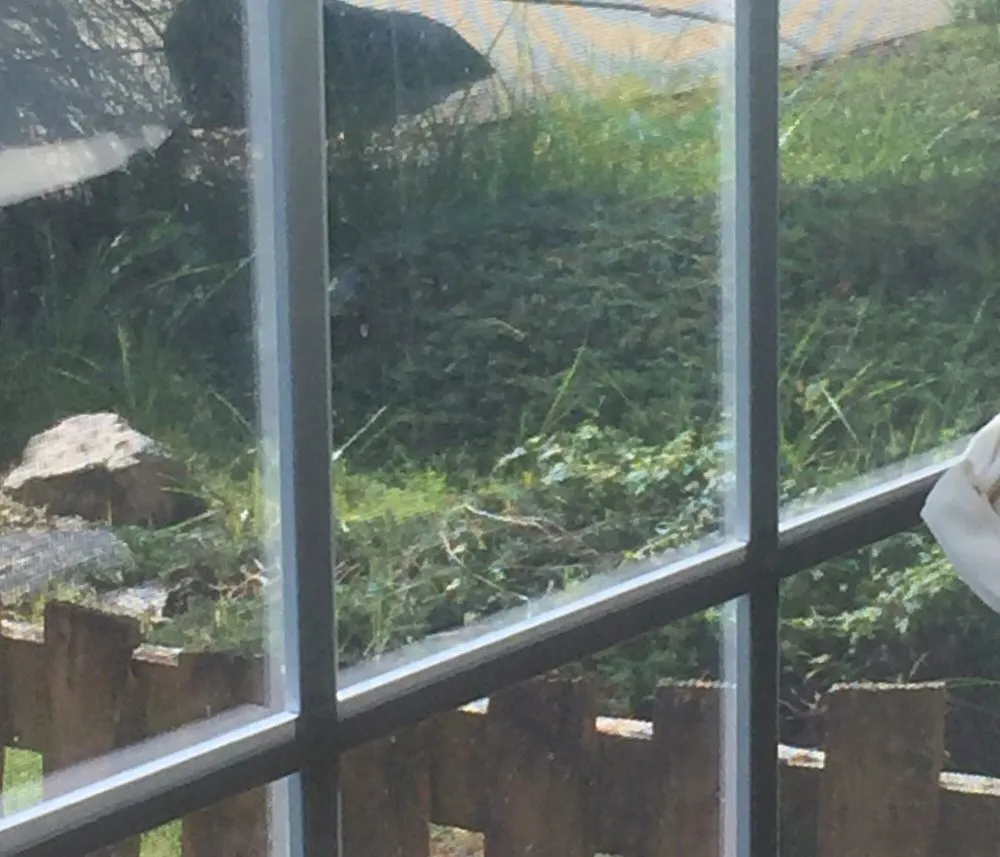 Custom yard cleanup service experts serving Ofallon, IL - Tee Time Lawn Care