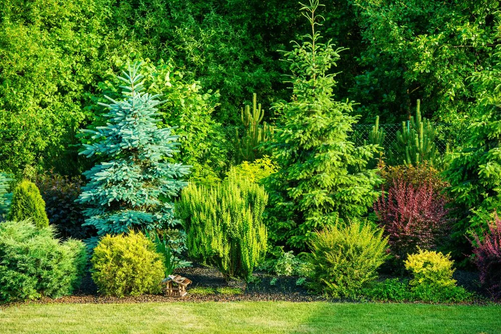 Affordable landscaping services for residential properties across Ofallon, IL - Tee Time Lawn Care