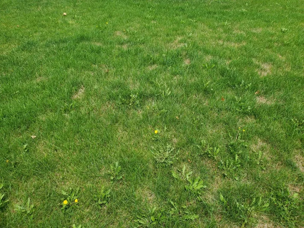 Top-rated outdoor landscaping experts serving Plainfield, IL - Tee Time Lawn Care