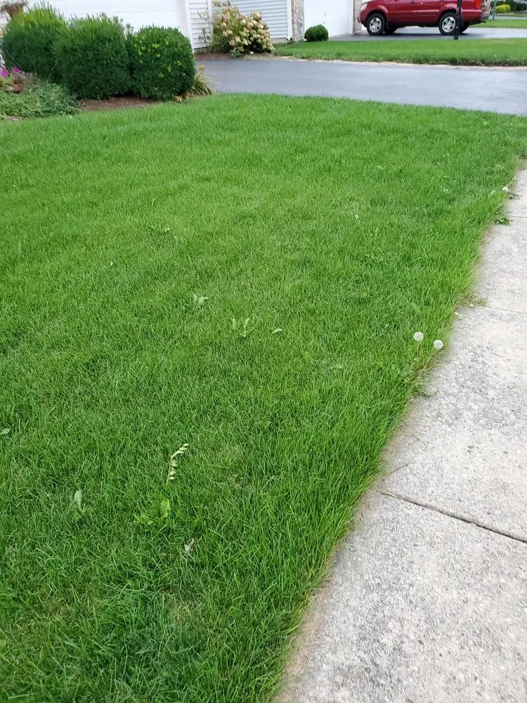 Trusted yard cleanup service in Plainfield, IL by Tee Time Lawn Care