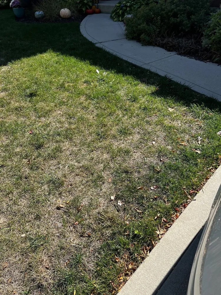 Expert garden landscaping in Plainfield, IL by Tee Time Lawn Care