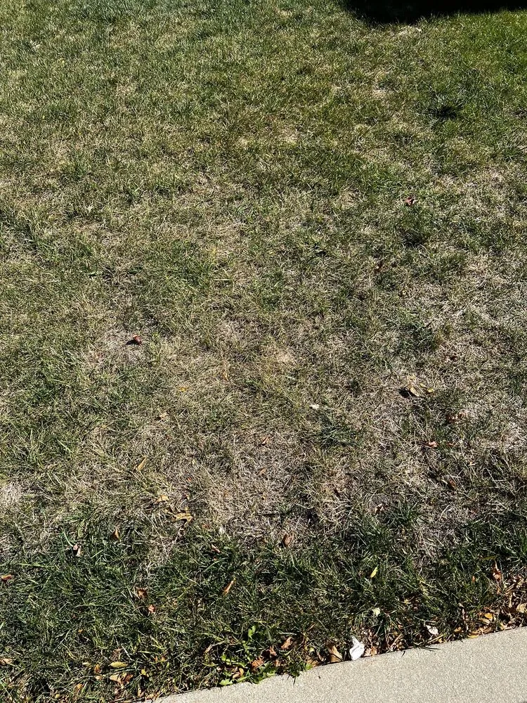 Professional outdoor landscaping experts serving Plainfield, IL - Tee Time Lawn Care