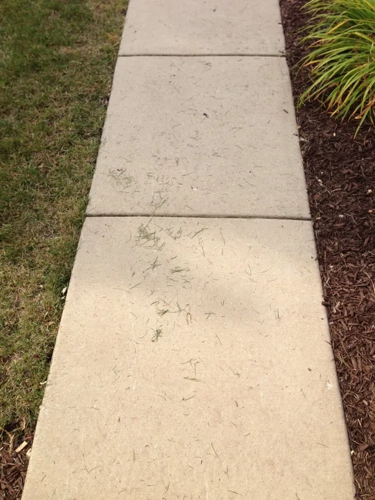 Affordable residential landscaping in Plainfield, IL by Tee Time Lawn Care