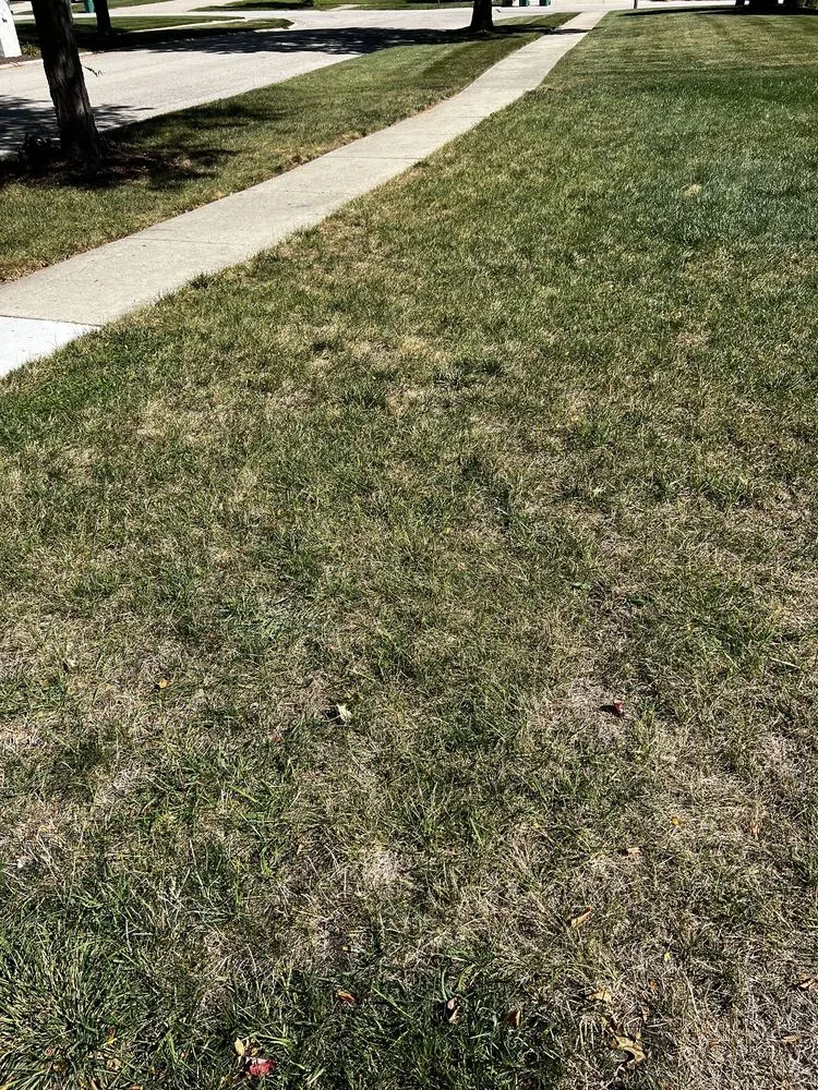 Custom landscape design for homes across Plainfield, IL - Tee Time Lawn Care