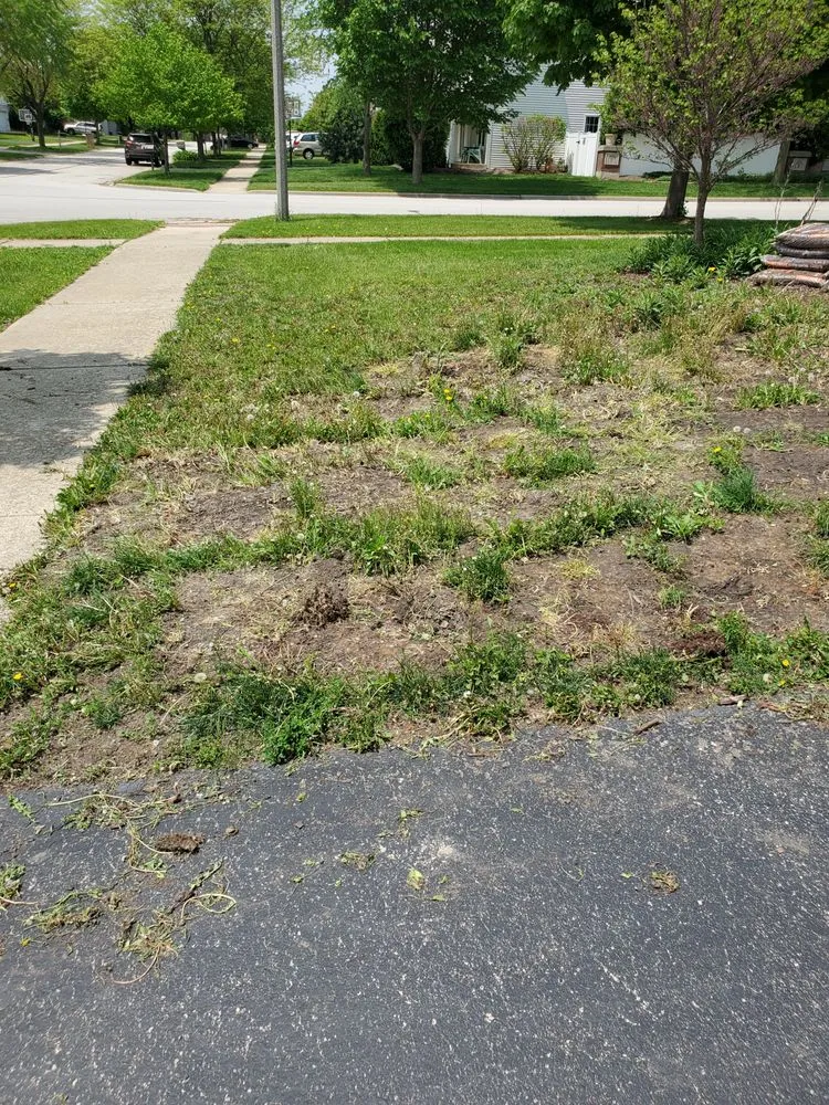 Expert outdoor landscaping for beautiful yards in Plainfield, IL by Tee Time Lawn Care