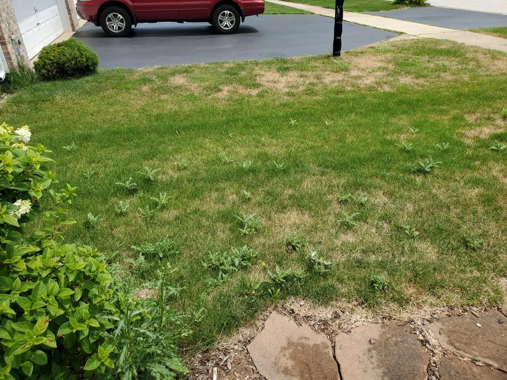 Custom lawn care service in Plainfield, IL by Tee Time Lawn Care