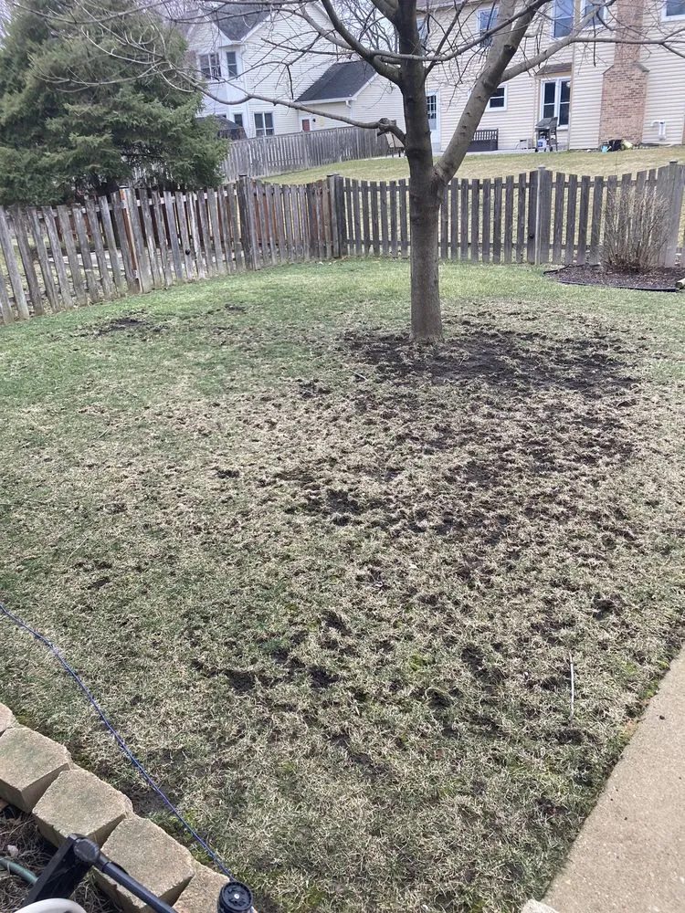 Top-rated lawn mowing service with custom design across Plainfield, IL - Tee Time Lawn Care