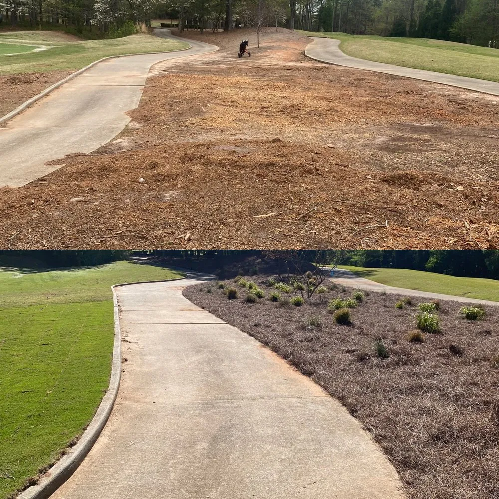 Local landscape installation for beautiful yards in Charlotte, NC by Tee to Green