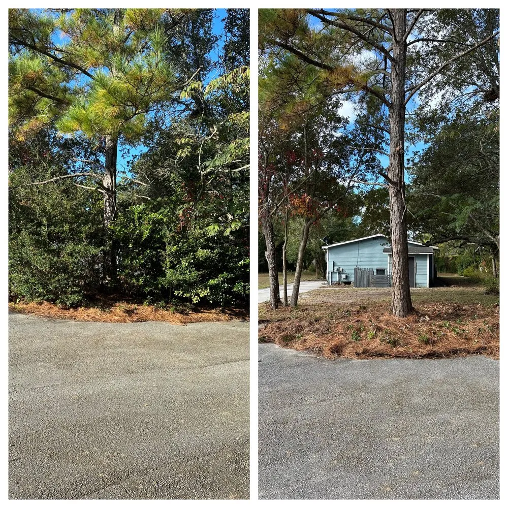 Reliable outdoor landscaping for homes across Charlotte, NC - Tee to Green