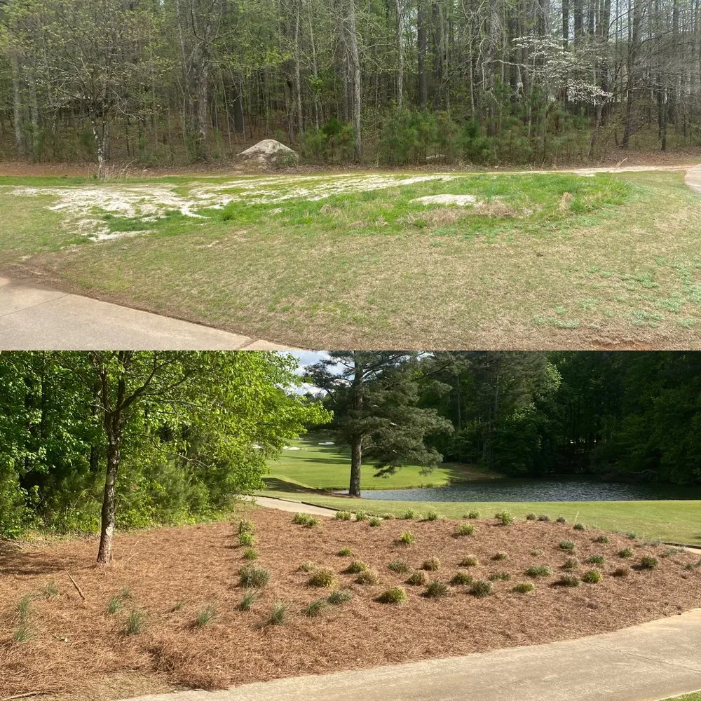 Professional garden landscaping for homes in Charlotte, NC by Tee to Green