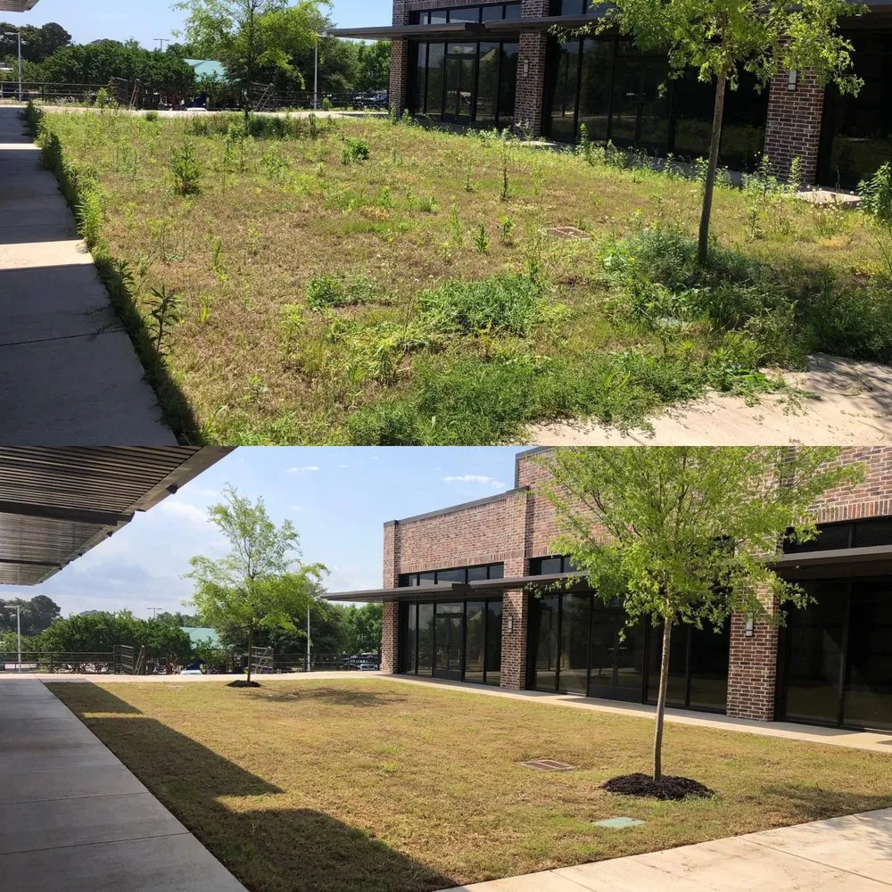 Local landscape design with custom design across Bullard, TX - Tee to Green Lawn and Landscape