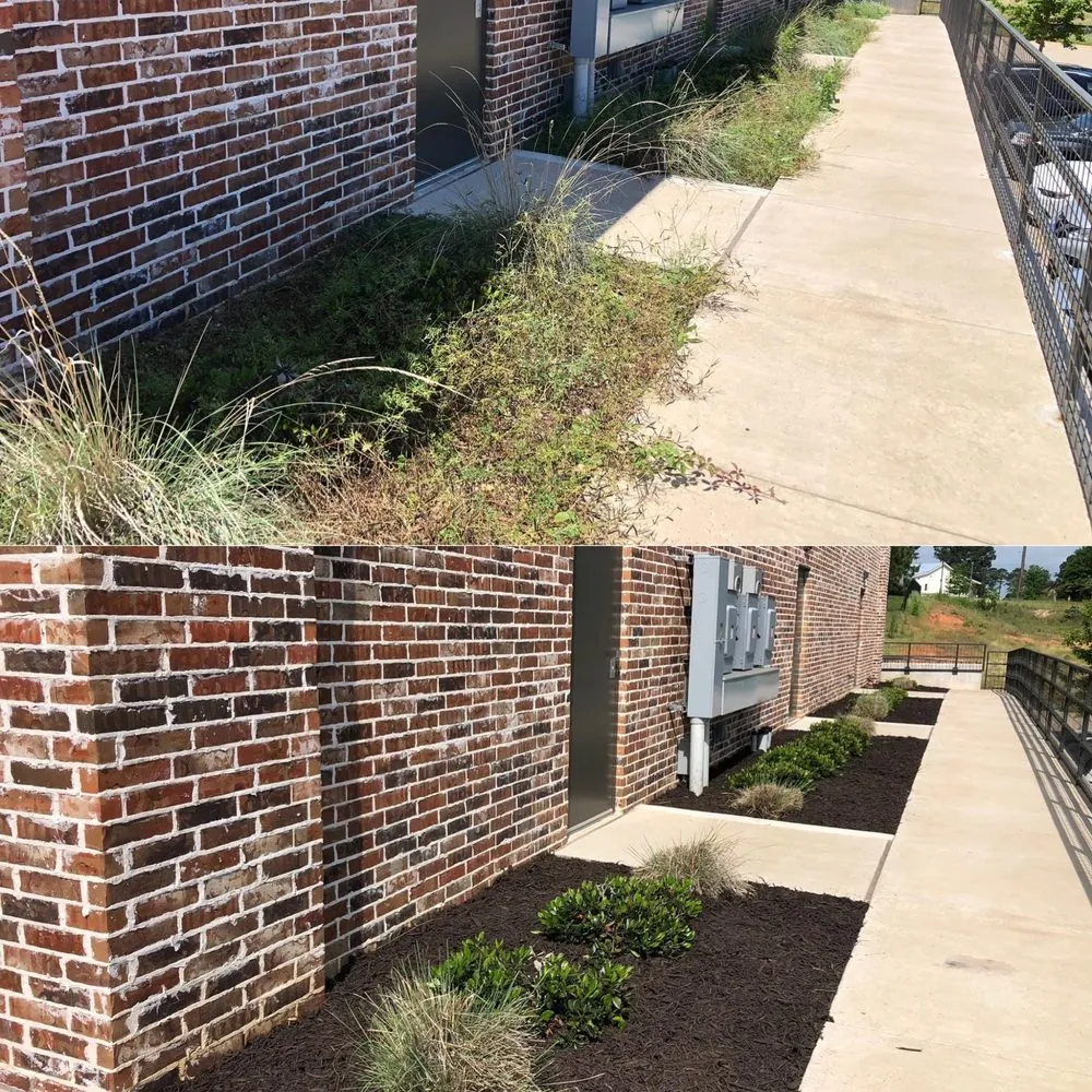 Trusted yard maintenance in Bullard, TX by Tee to Green Lawn and Landscape