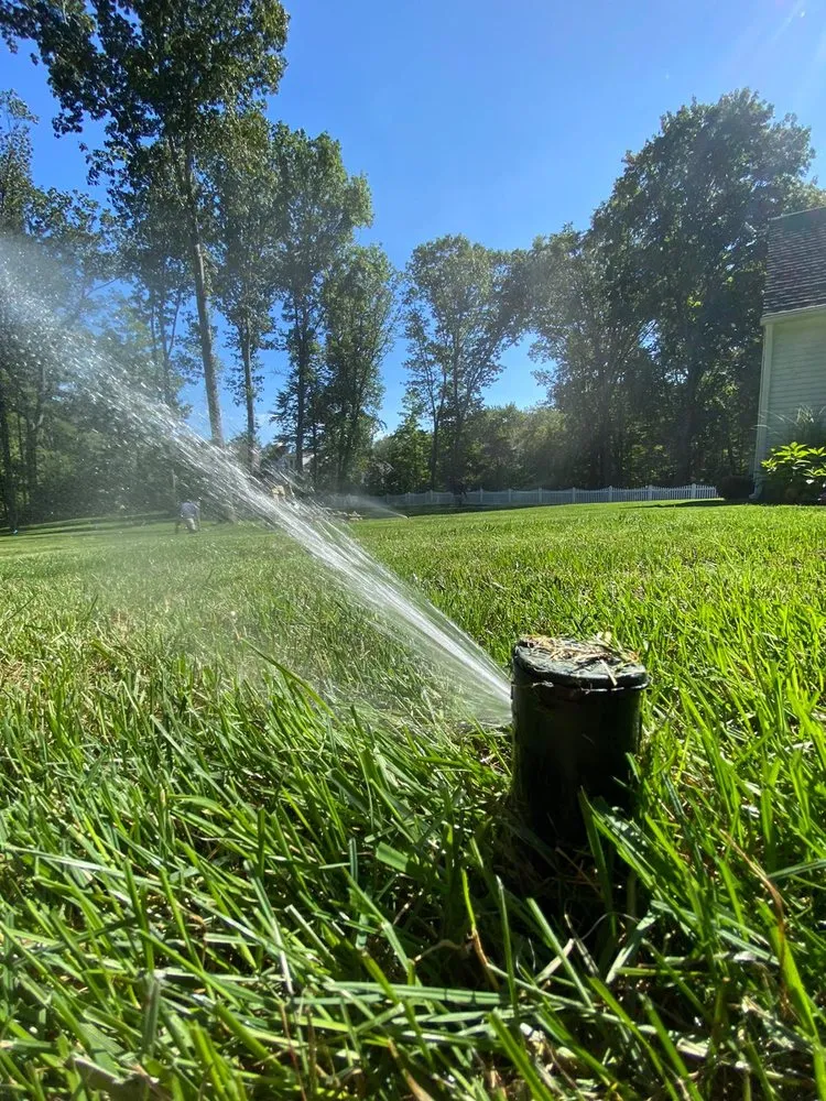 Professional landscape installation in Norwalk, CT - Teed & Brown