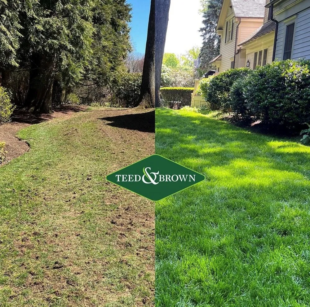 Professional residential landscaping in Norwalk, CT - Teed & Brown