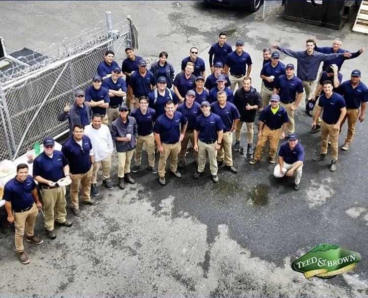 Trusted yard cleanup service in Norwalk, CT - Teed & Brown