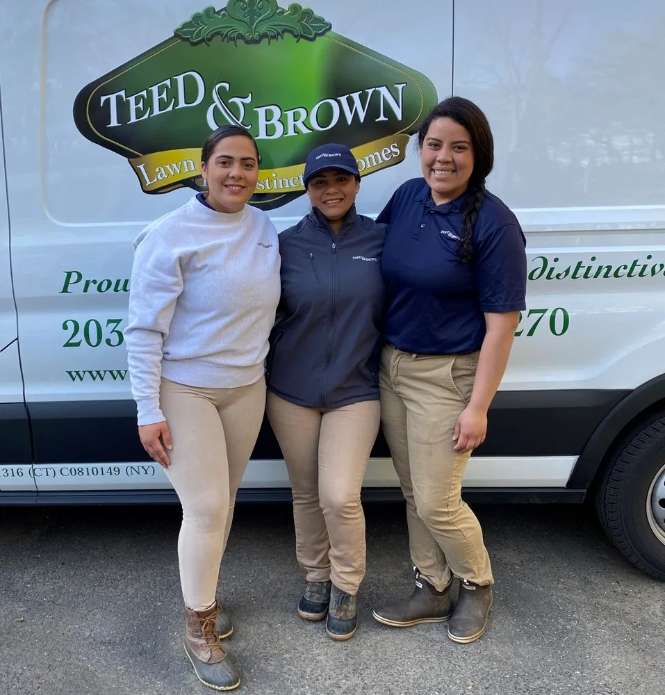 Local yard cleanup service experts serving Norwalk, CT - Teed & Brown