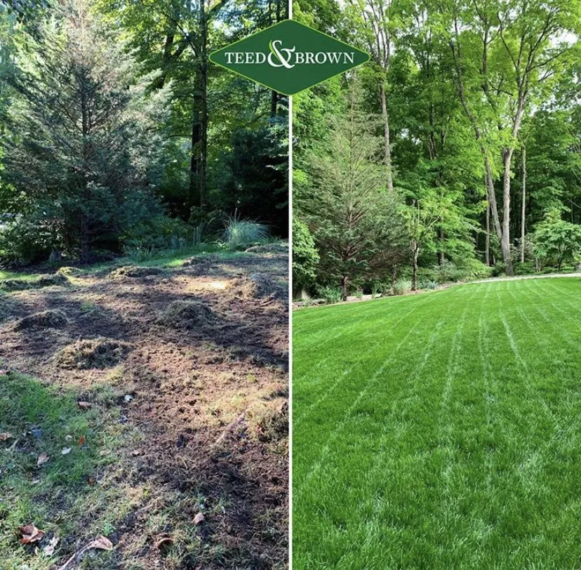 Reliable yard maintenance for outdoor upgrades across Norwalk, CT - Teed & Brown