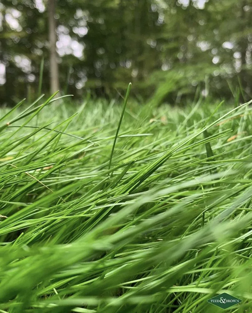 Custom landscaping services for homes in Norwalk, CT by Teed & Brown