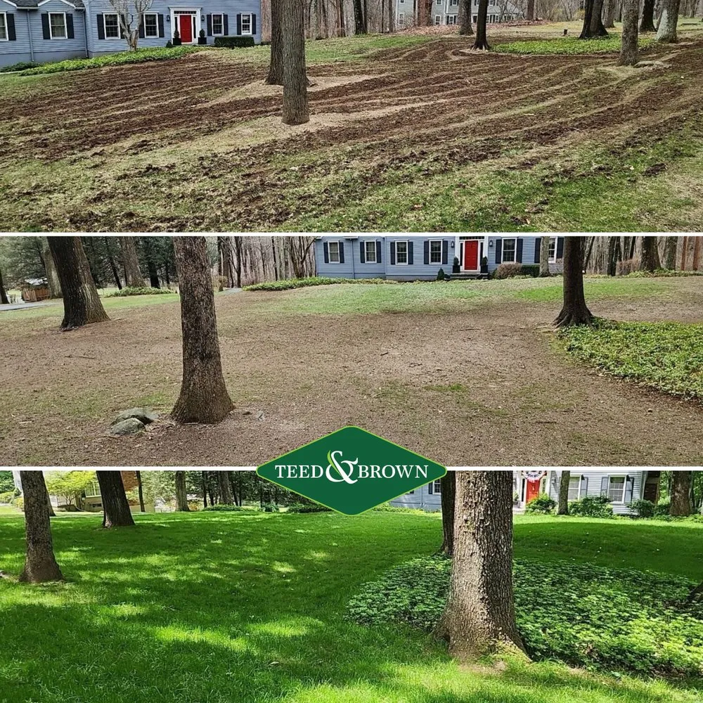 Professional garden landscaping in Norwalk, CT - Teed & Brown