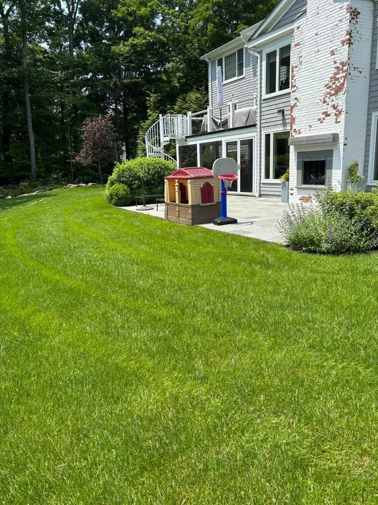 Local yard cleanup service in Norwalk, CT - Teed & Brown