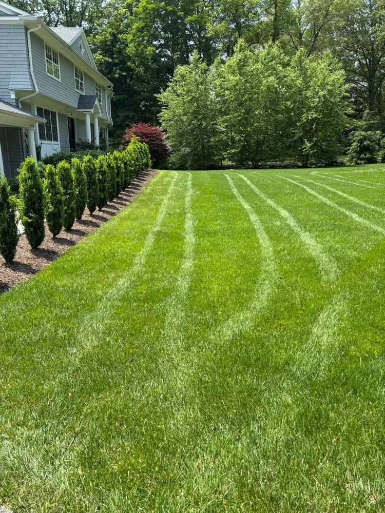 Affordable lawn care service in Norwalk, CT by Teed & Brown