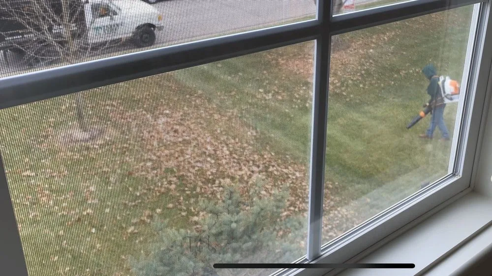 Reliable yard cleanup service experts serving Lawrence, KS - Teefy Turf Management Landscape Company