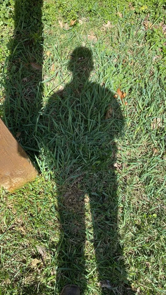 Affordable lawn care service for residential properties across Elsberry, MO - Teegan&Adam Yard