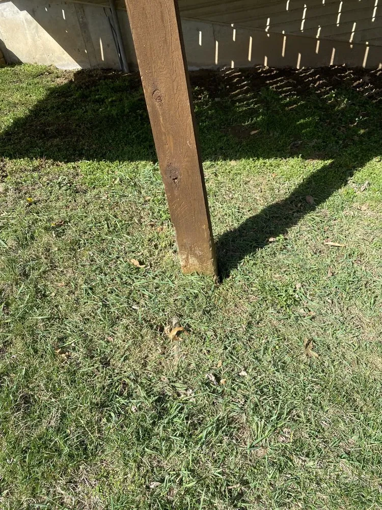 Top-rated yard cleanup service in Elsberry, MO - Teegan&Adam Yard