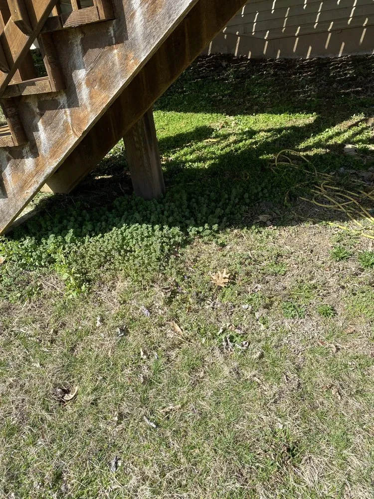 Professional outdoor landscaping experts serving Elsberry, MO - Teegan&Adam Yard