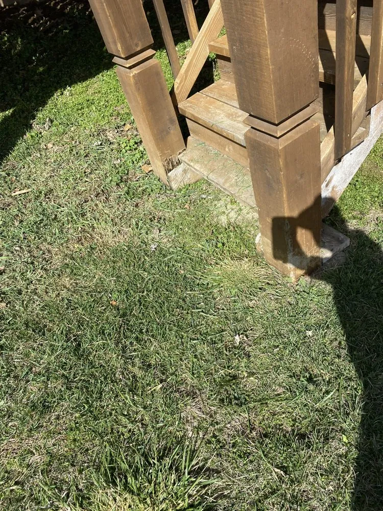 Expert landscape design in Elsberry, MO by Teegan&Adam Yard