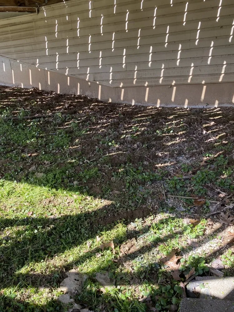 Reliable landscape installation in Elsberry, MO - Teegan&Adam Yard