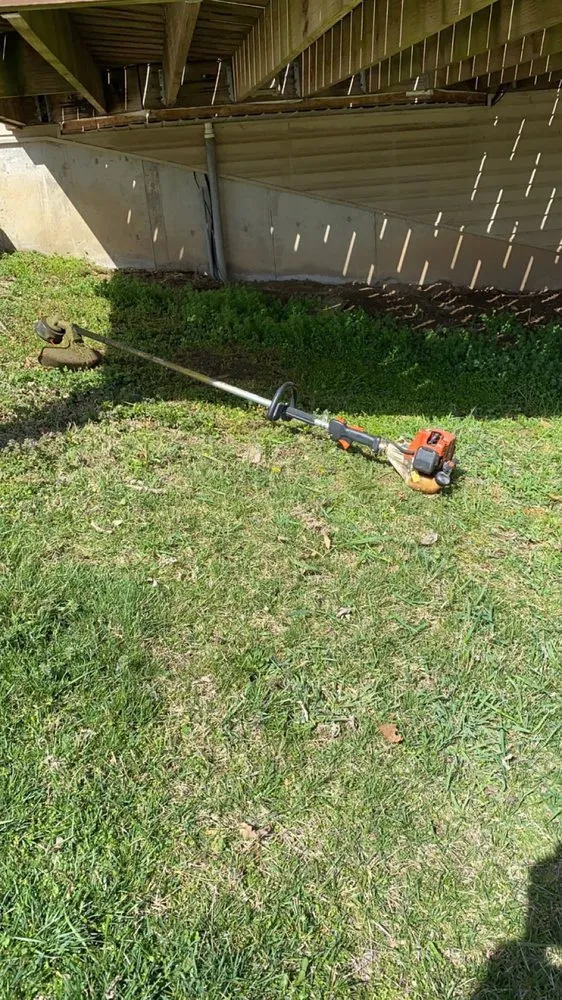 Expert yard cleanup service in Elsberry, MO - Teegan&Adam Yard