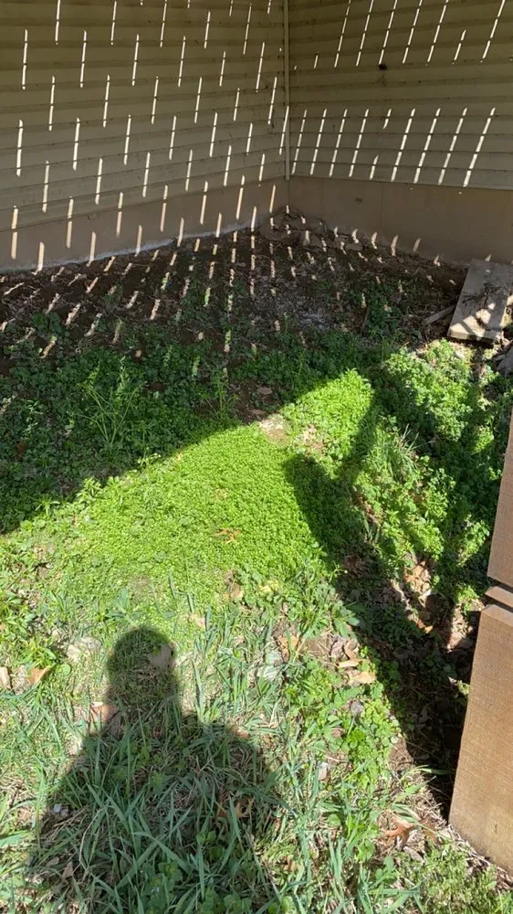 Expert yard cleanup service in Elsberry, MO by Teegan&Adam Yard