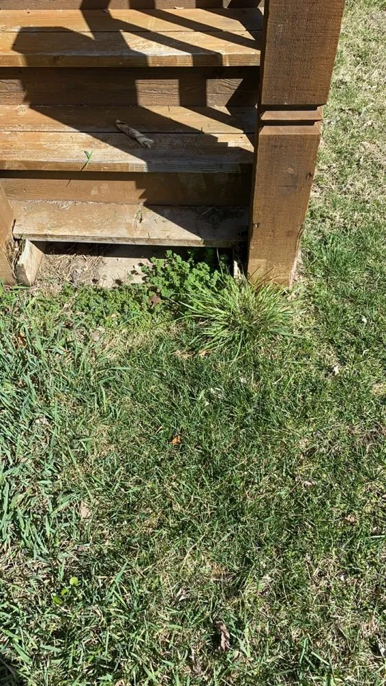 Affordable lawn care service for residential properties in Elsberry, MO by Teegan&Adam Yard