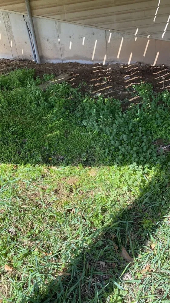 Custom lawn mowing service with custom design across Elsberry, MO - Teegan&Adam Yard